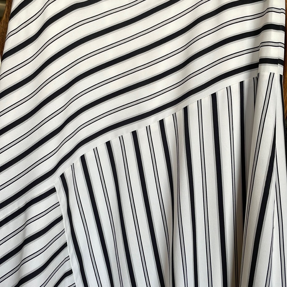 Ann Taylor Maxi Skirt